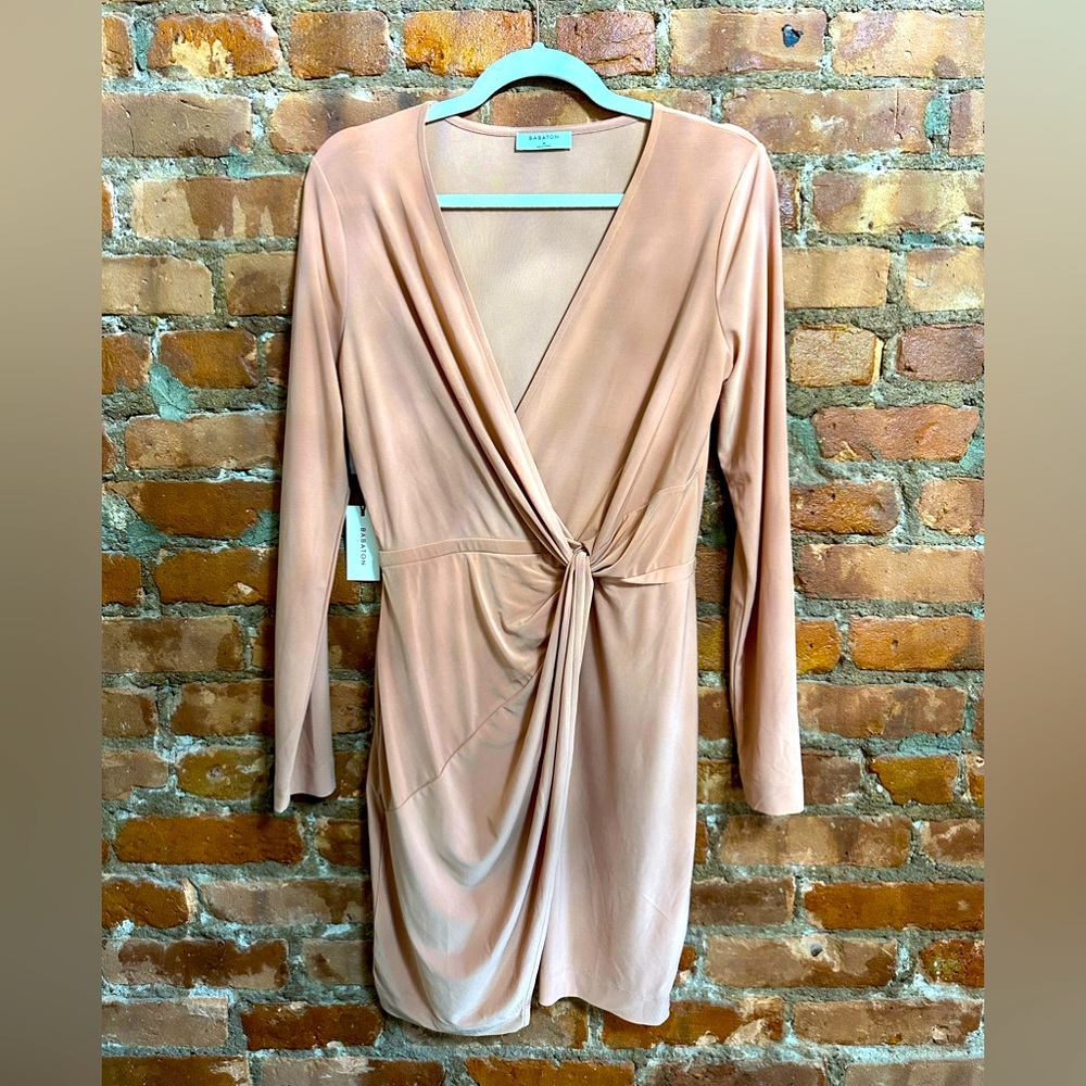 Aritzia blush long sleeve dress NWT